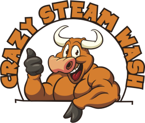 Crazy Steam Wash Logo