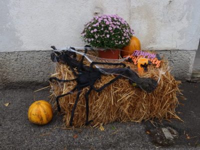 Halloween Gruselspaß Im Gemeindeamt (4)